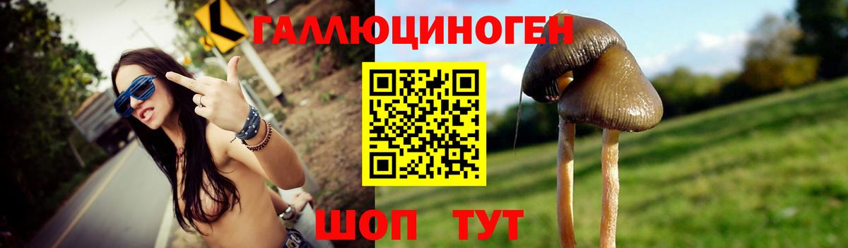 Конаково  Псилоцибиновые грибы ЛСД  Вход с VPN 